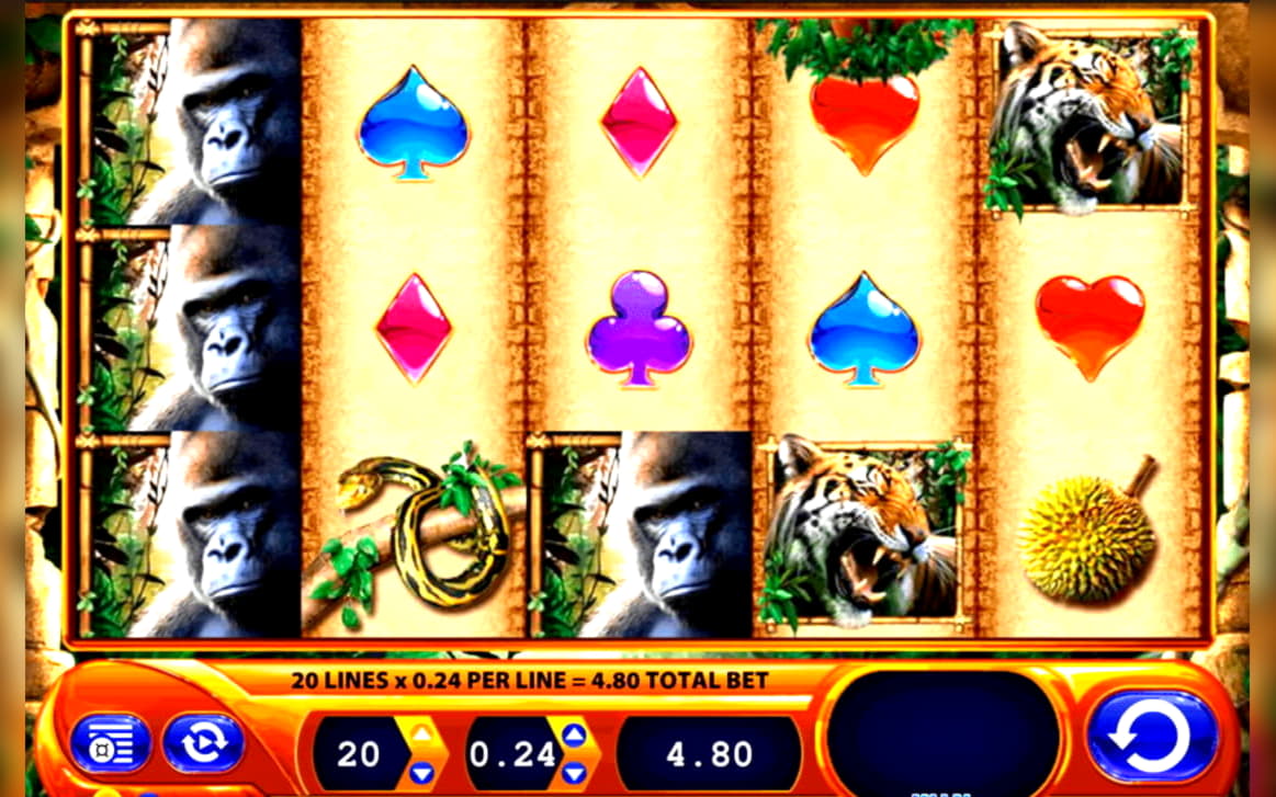 50 Free Spins no deposit casino at Casino com