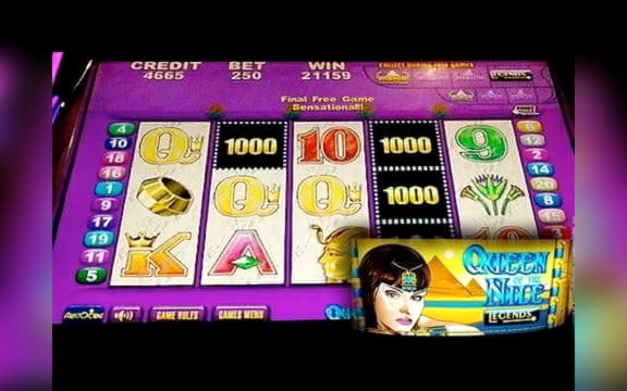 EURO 355 Free chip casino at Rizk Casino