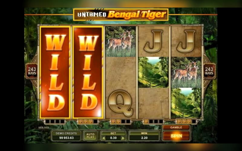 €500 Free casino chip at Alf Casino