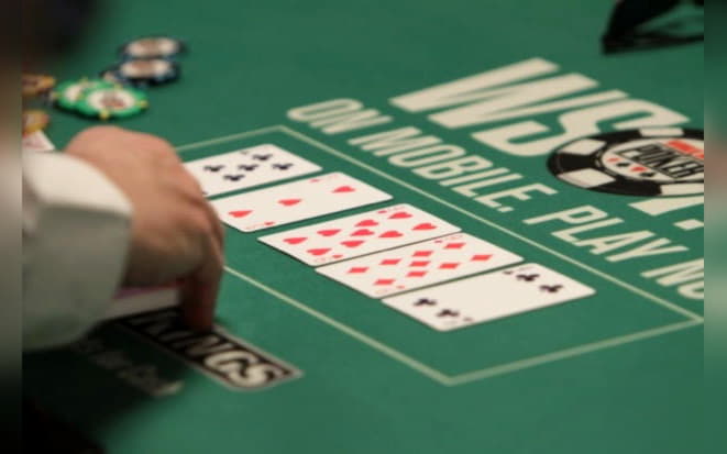 525% No Rules Bonus! at Leo Dubai Casino