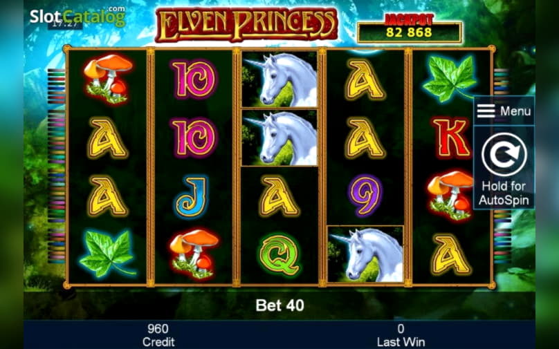 £295 Casino tournaments freeroll at Leo Dubai Casino