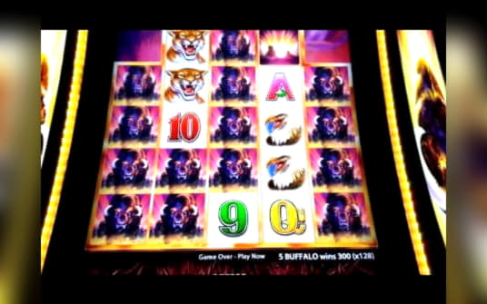 €30 Daily freeroll slot tournament at Inter Casino