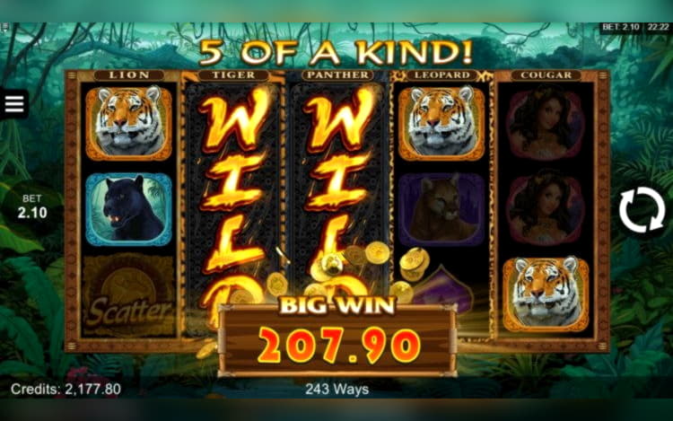 ﻿$840 Daily freeroll slot tournament at Spin Palace Casino