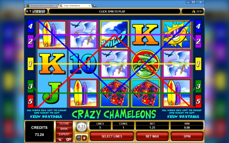 295% Casino Welcome Bonus at Leo Dubai Casino
