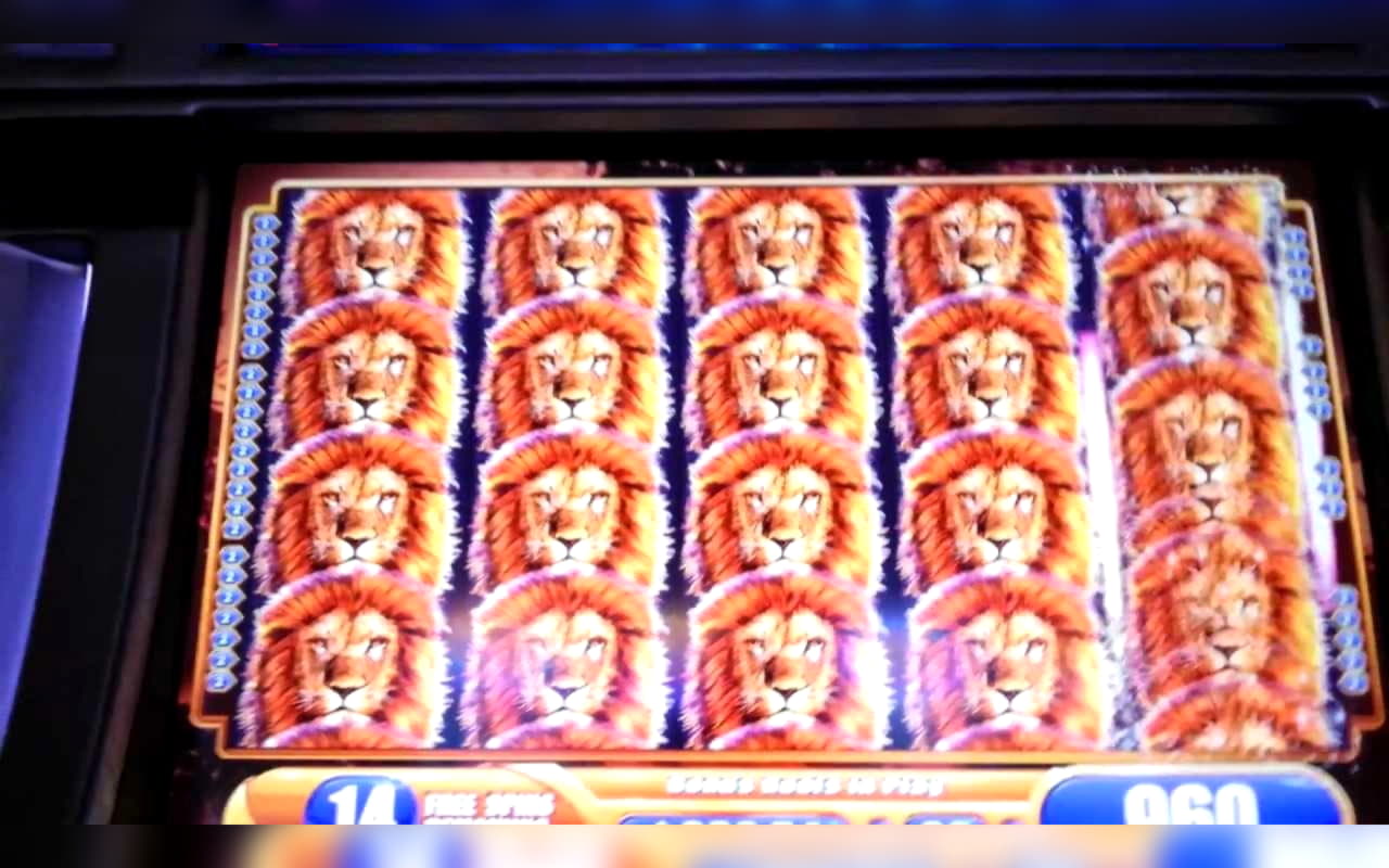 735% Welcome Bonus at Leo Dubai Casino