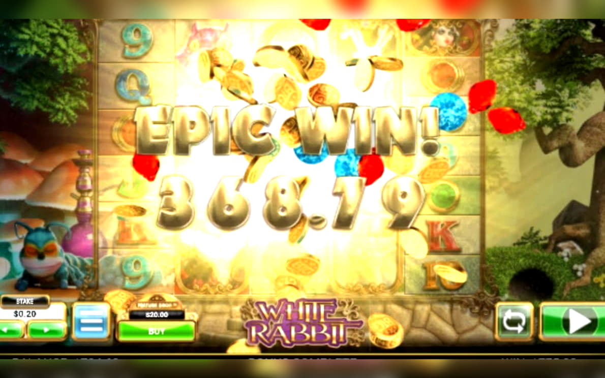 €540 Casino Chip at bWin Casino