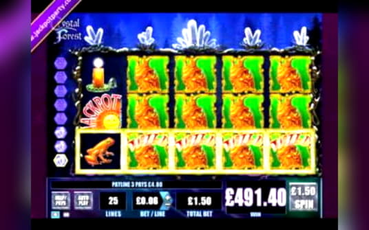 EURO 300 Free Money at Dunder Casino