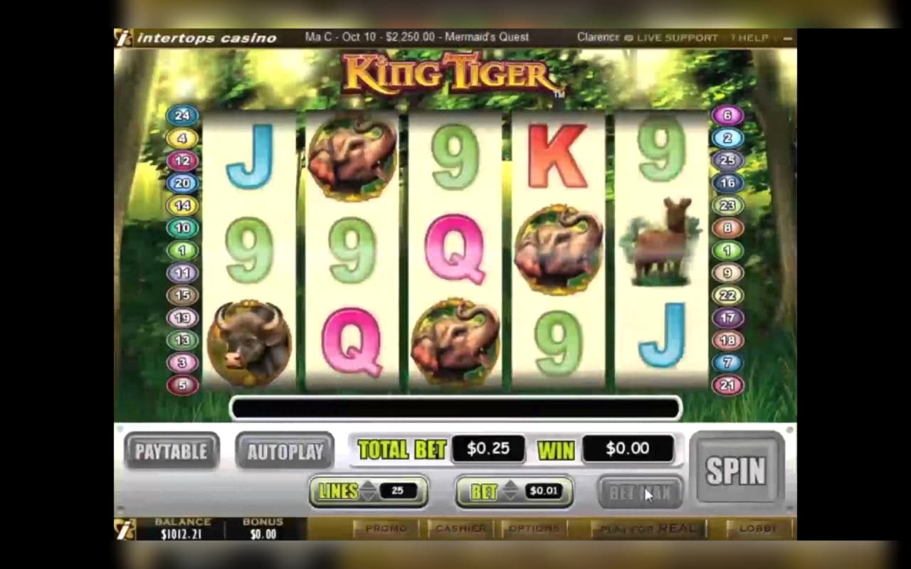 320% Deposit Match Bonus at bWin Casino