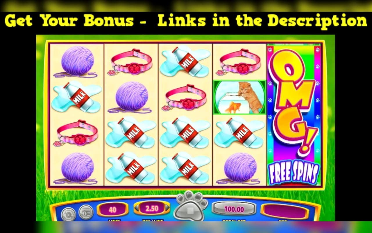 215 FREE Spins at Hippozino Casino