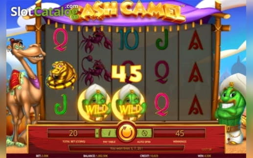 415% Signup casino bonus at Rizk Casino