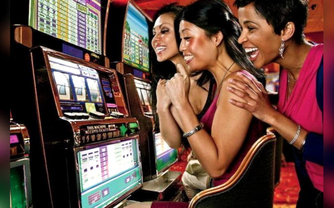 195 Free Casino Spins at Leo Dubai Casino