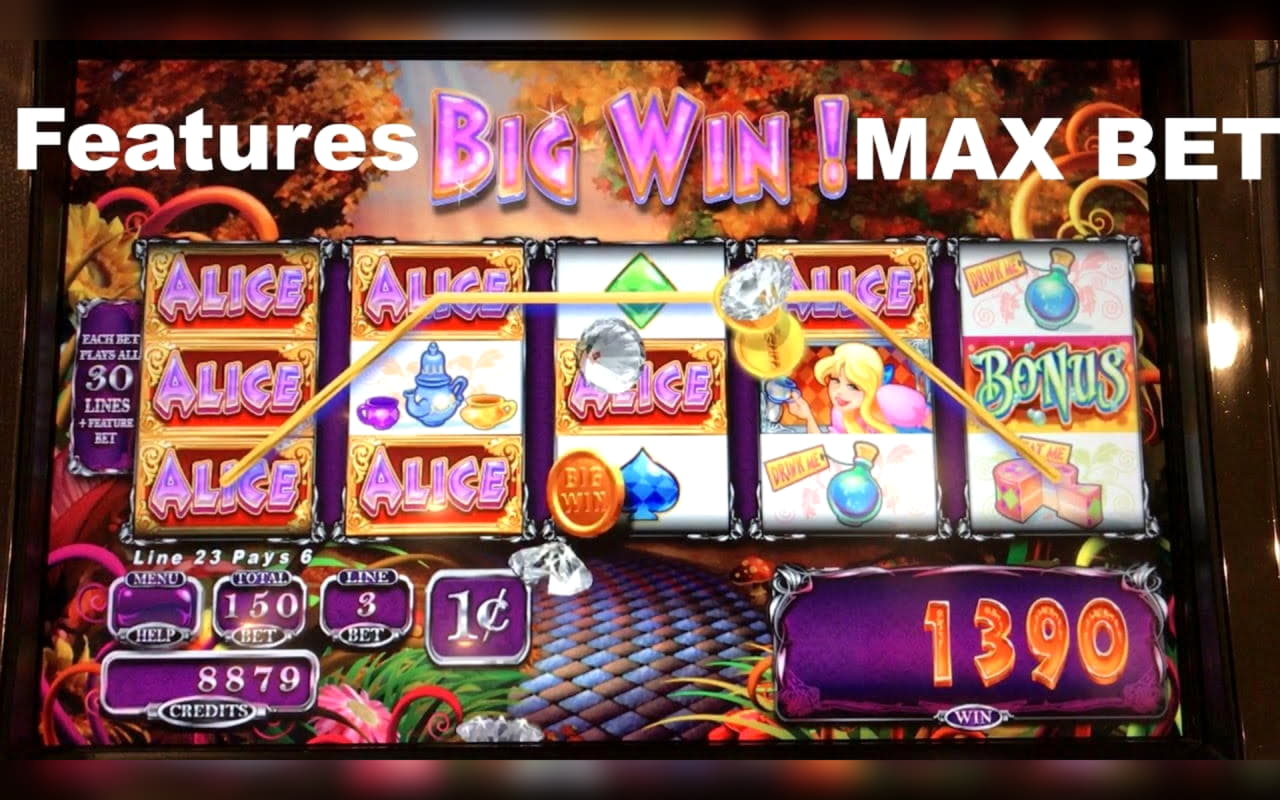 895% No Rules Bonus! at Hippozino Casino