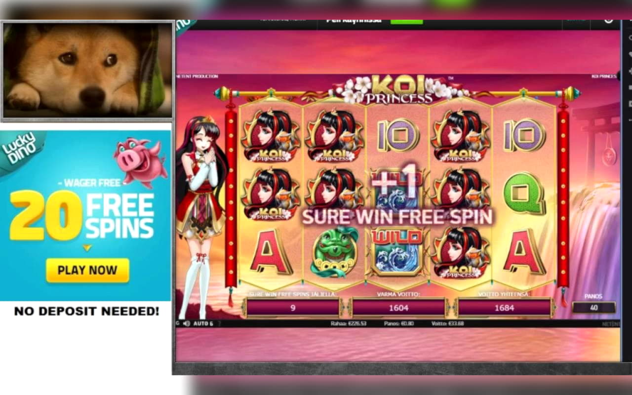 $3340 No Deposit Casino Bonus at Dunder Casino