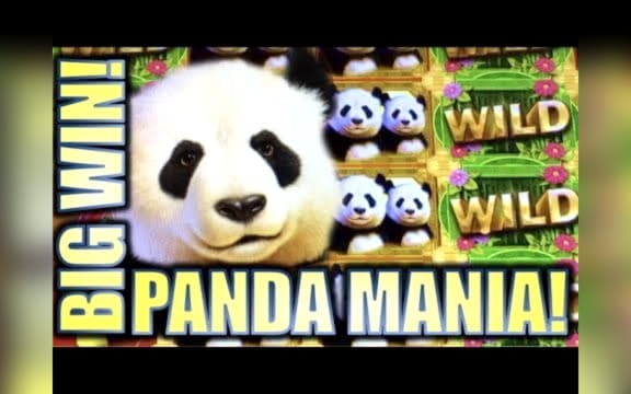 €885 Online Casino Tournament at 7 Reels Casino