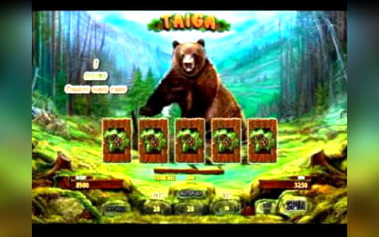 505% Best Signup Bonus Casino at Rizk Casino