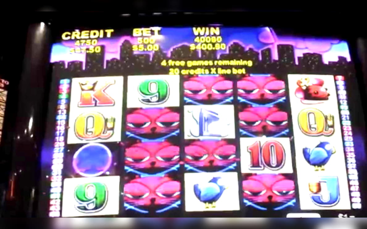 255 free spins casino at Leo Dubai Casino