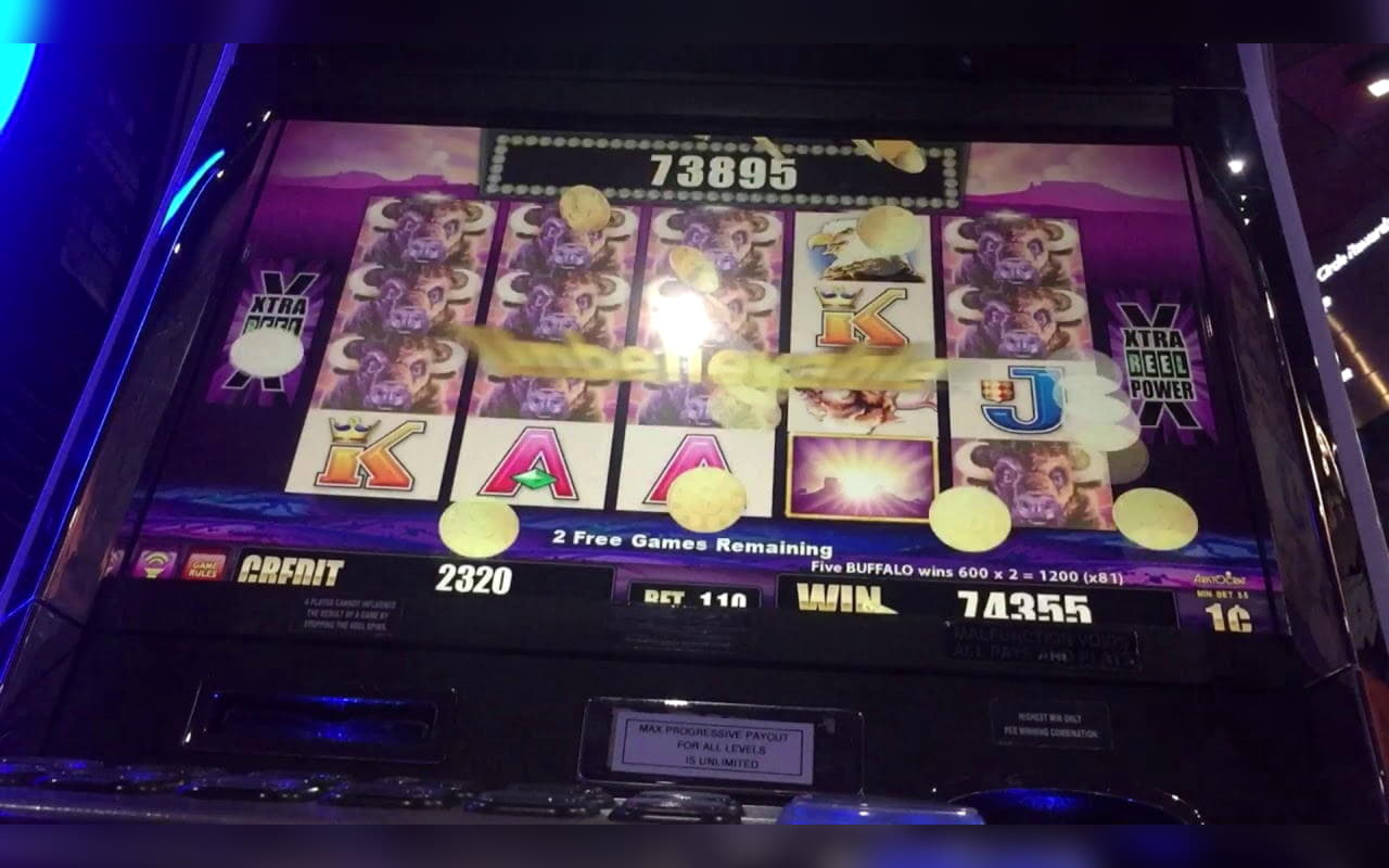 265 Free spins no deposit casino at Casino Cruise