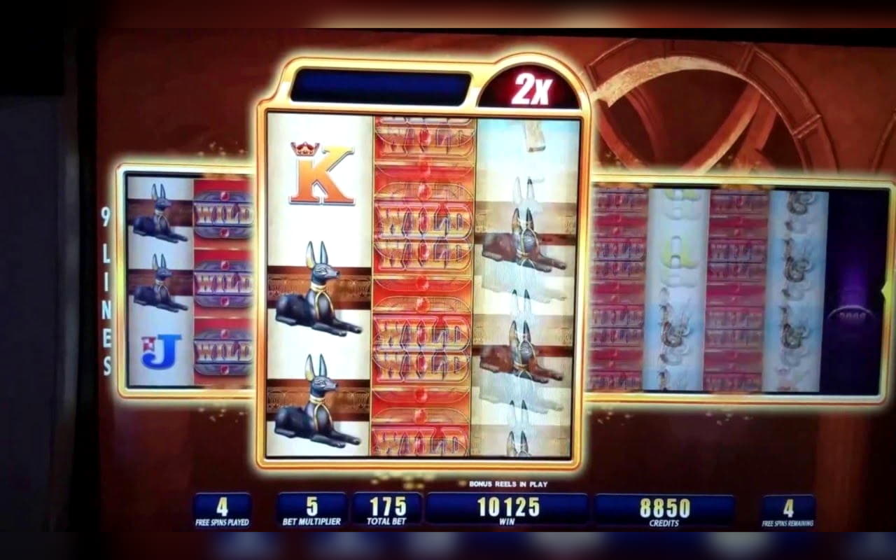 ﻿$720 Daily freeroll slot tournament at Hippozino Casino