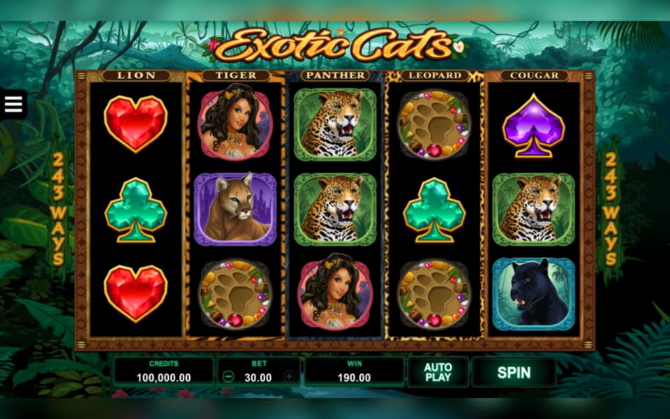 Eur 425 free chip at Dunder Casino