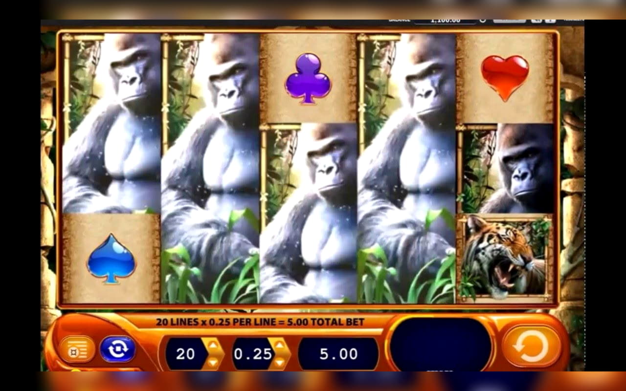 170 FREE Spins at Casino Cruise