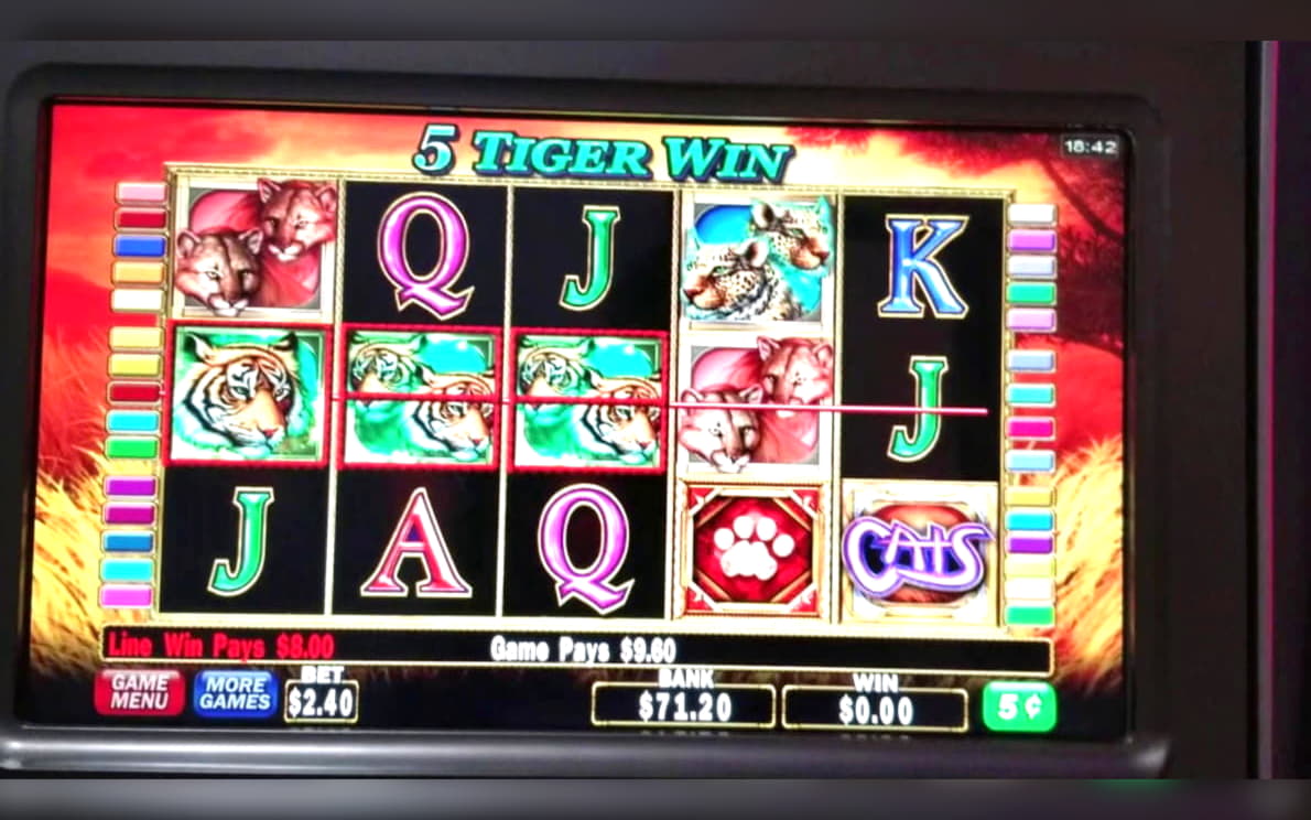 €215 Tournament at Casino Cruise