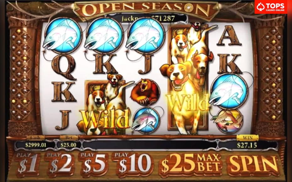 ﻿$4070 NO DEPOSIT BONUS at Hippozino Casino