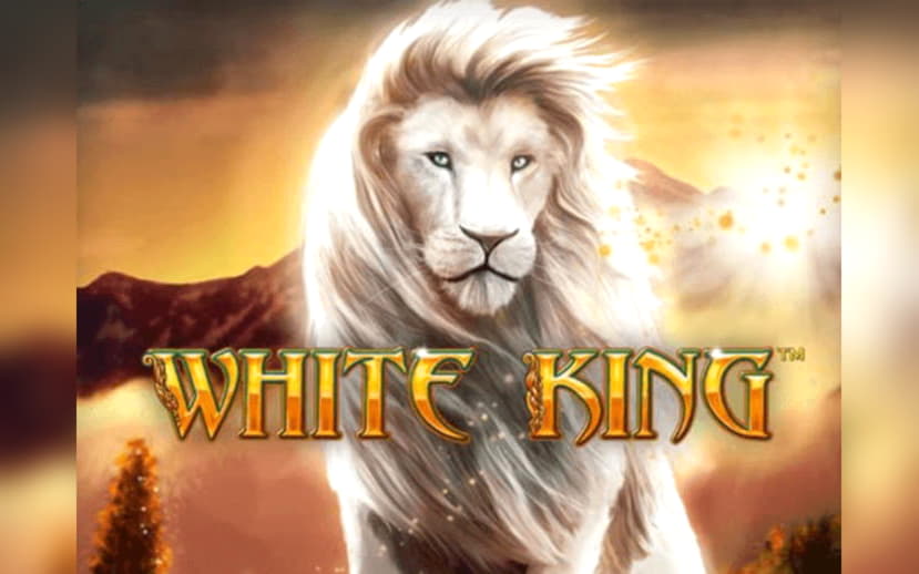 465% Best Signup Bonus Casino at BGO Casino