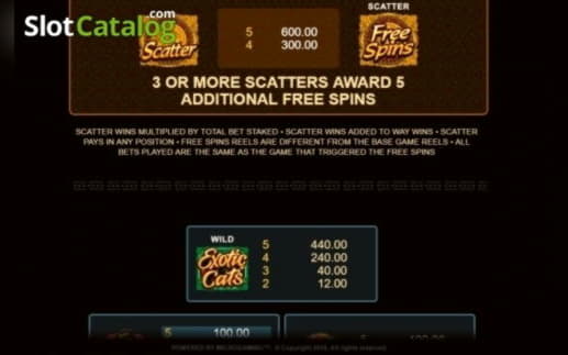 ﻿$305 FREE Casino Chip at Dunder Casino