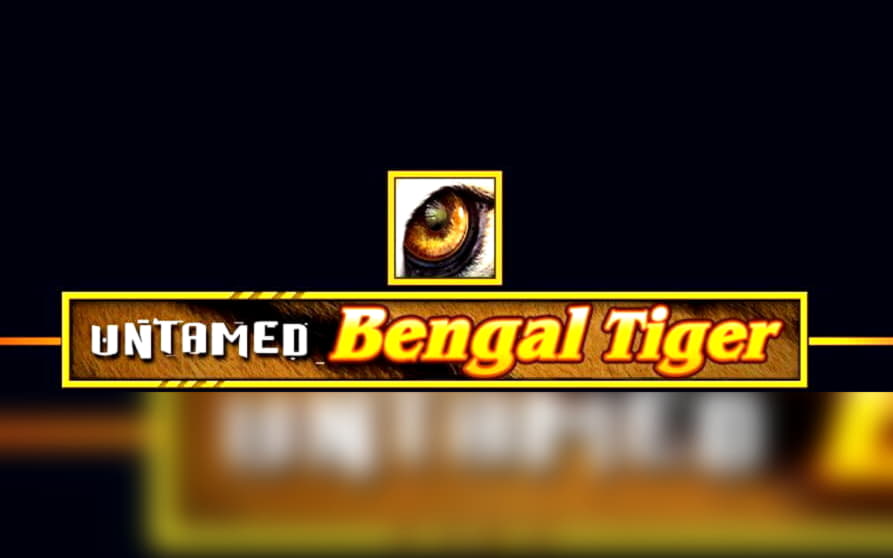 620% Match Bonus Casino at bWin Casino