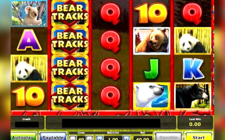 35% Match bonus casino at Casino Cruise
