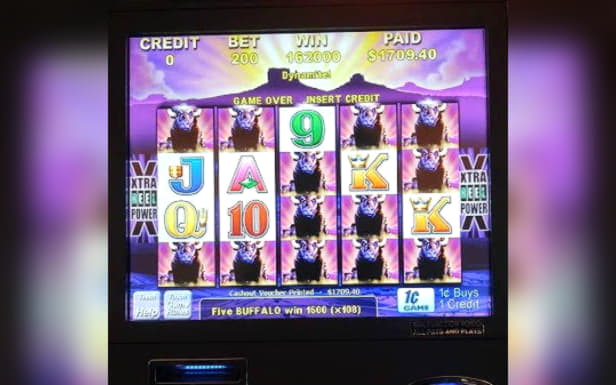 535% Match Bonus Casino at Bet Online Casino