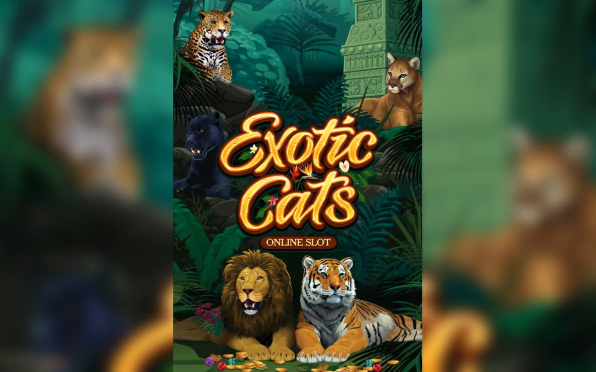 €550 NO DEPOSIT BONUS at Slots Million Casino