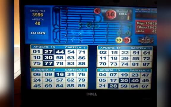 240 FREE Spins at Rizk Casino