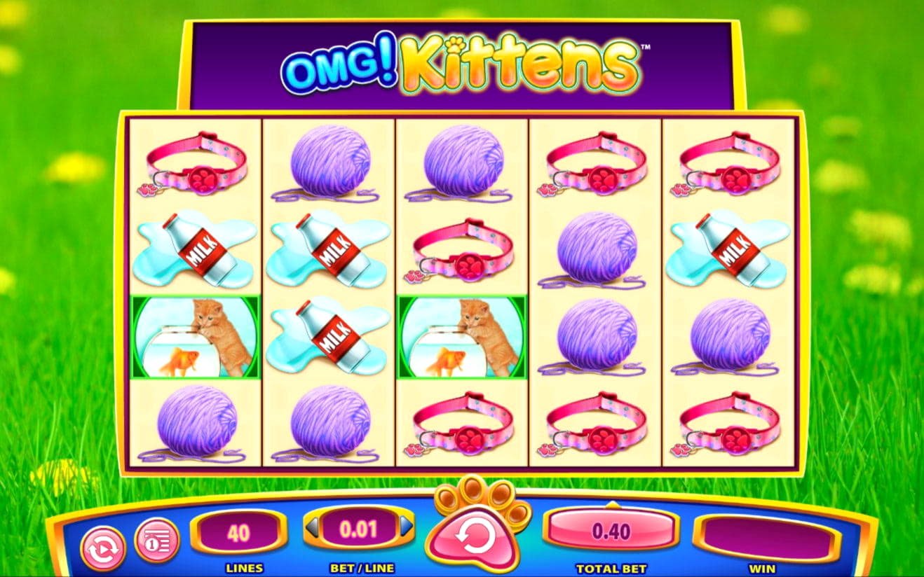 230 Free spins no deposit casino at Vera and Jhon Casino