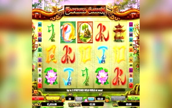 EURO 4800 No deposit at Leo Dubai Casino