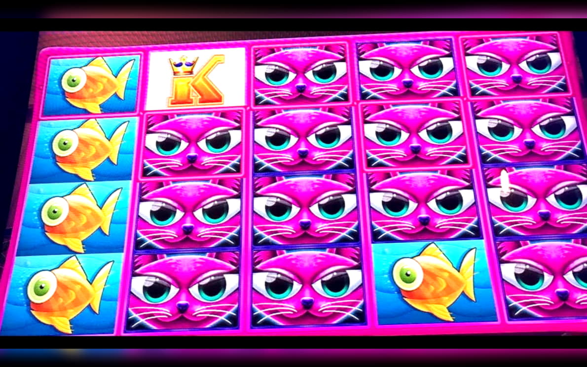 110 Loyal Free Spins! at Vera and Jhon Casino