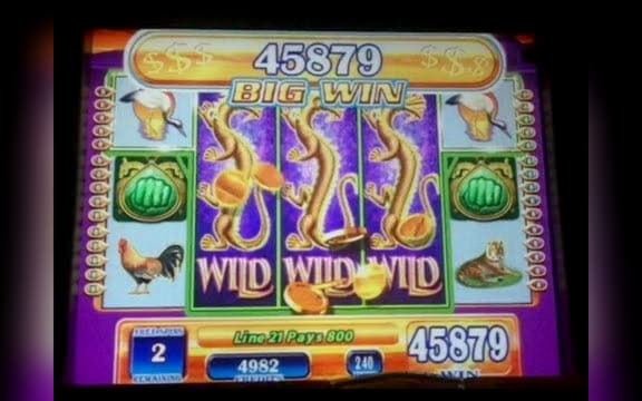100 Free Spins right now at Online Bets Casino