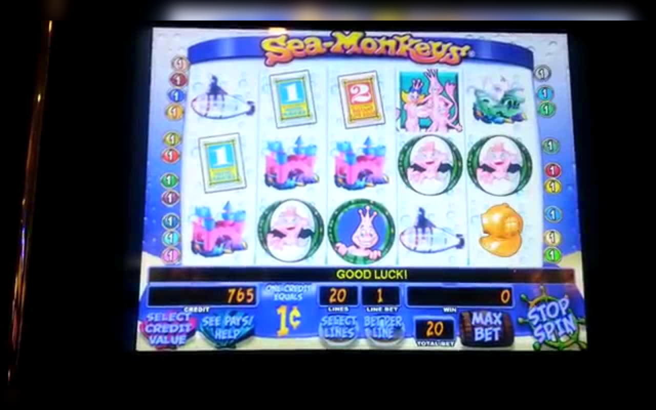 ﻿$145 casino chip at Vera and Jhon Casino