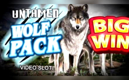 £222 No deposit casino bonus at Betnspin Casino