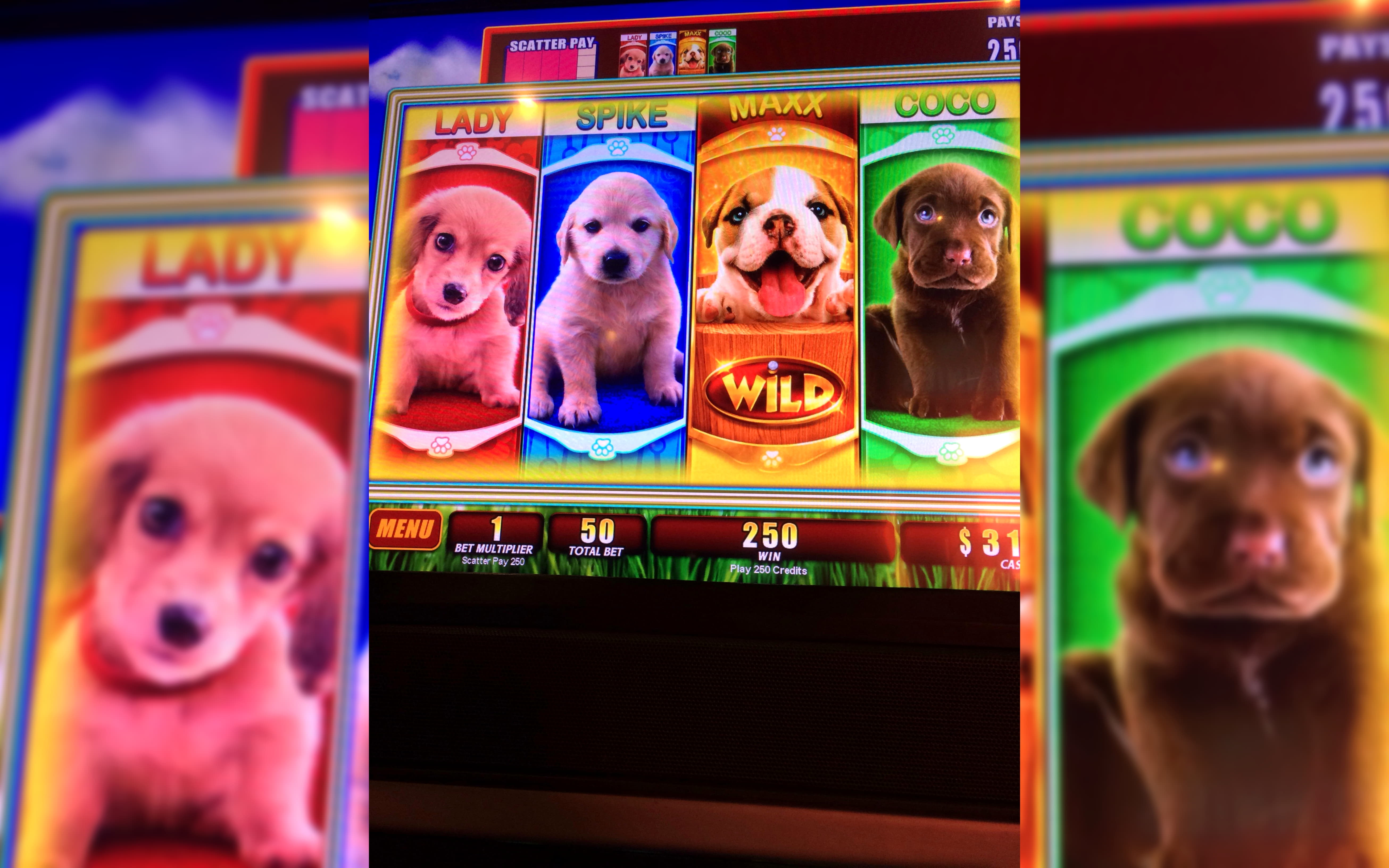 $725 No deposit at Europa Casino