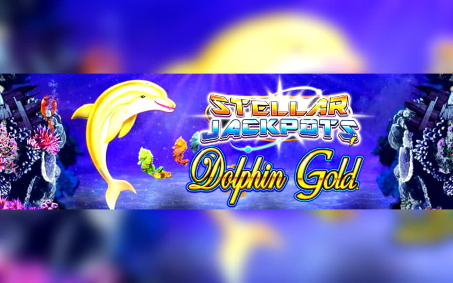 $585 Tournament at Spin Palace Casino