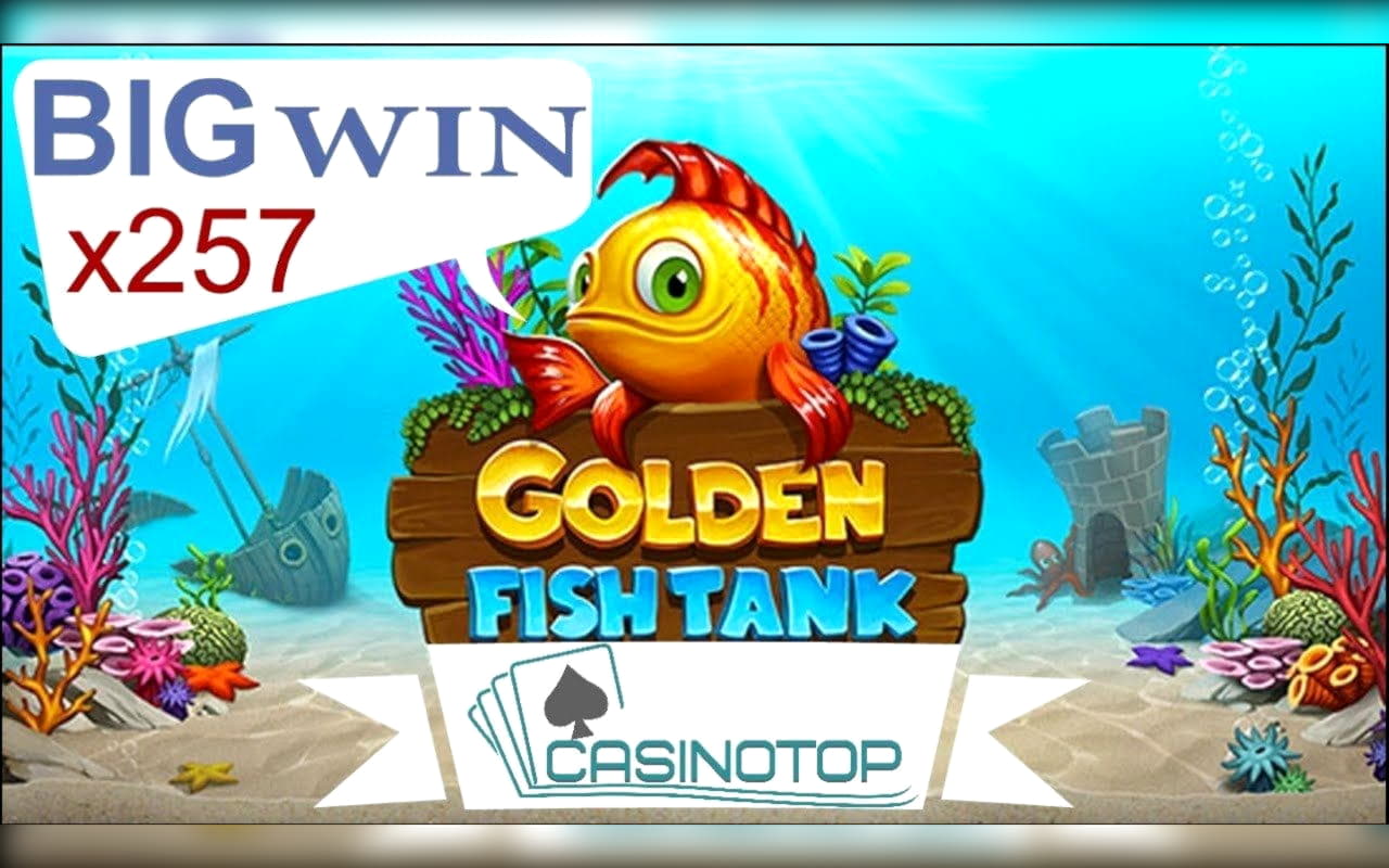 885% Signup Casino Bonus at Leo Dubai Casino