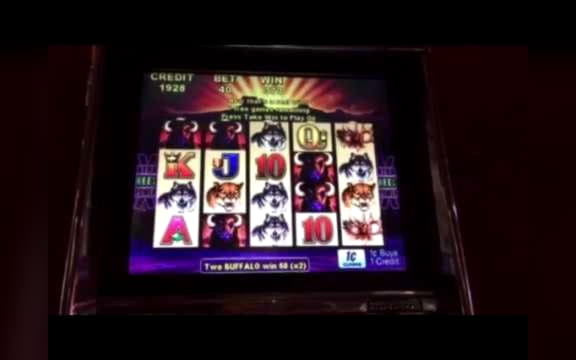 15 Loyal Free Spins! at Casino Cruise
