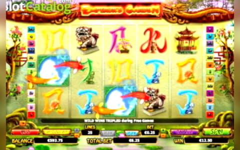 EUR 985 Daily freeroll slot tournament at Vera and Jhon Casino