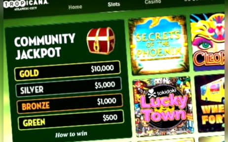 80 Loyal Free Spins! at Casino com