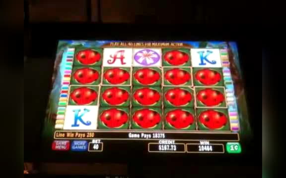 245 Free Spins at Casino Cruise