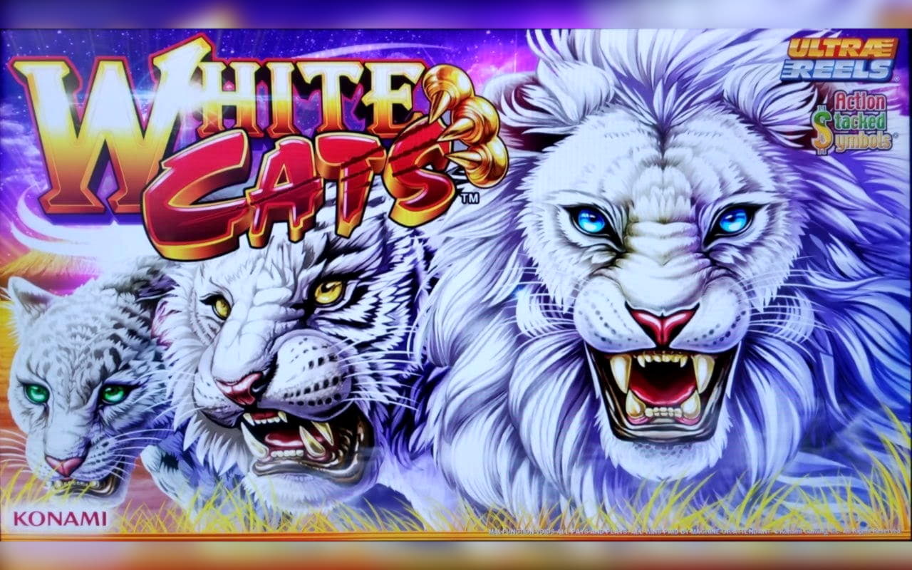 €222 Free Casino Tournament at Rizk Casino
