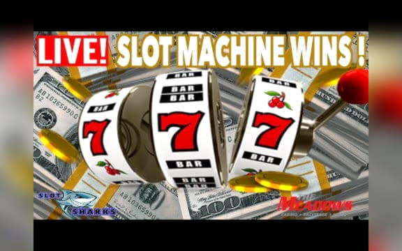 £330 Free Chip at Spin Palace Casino