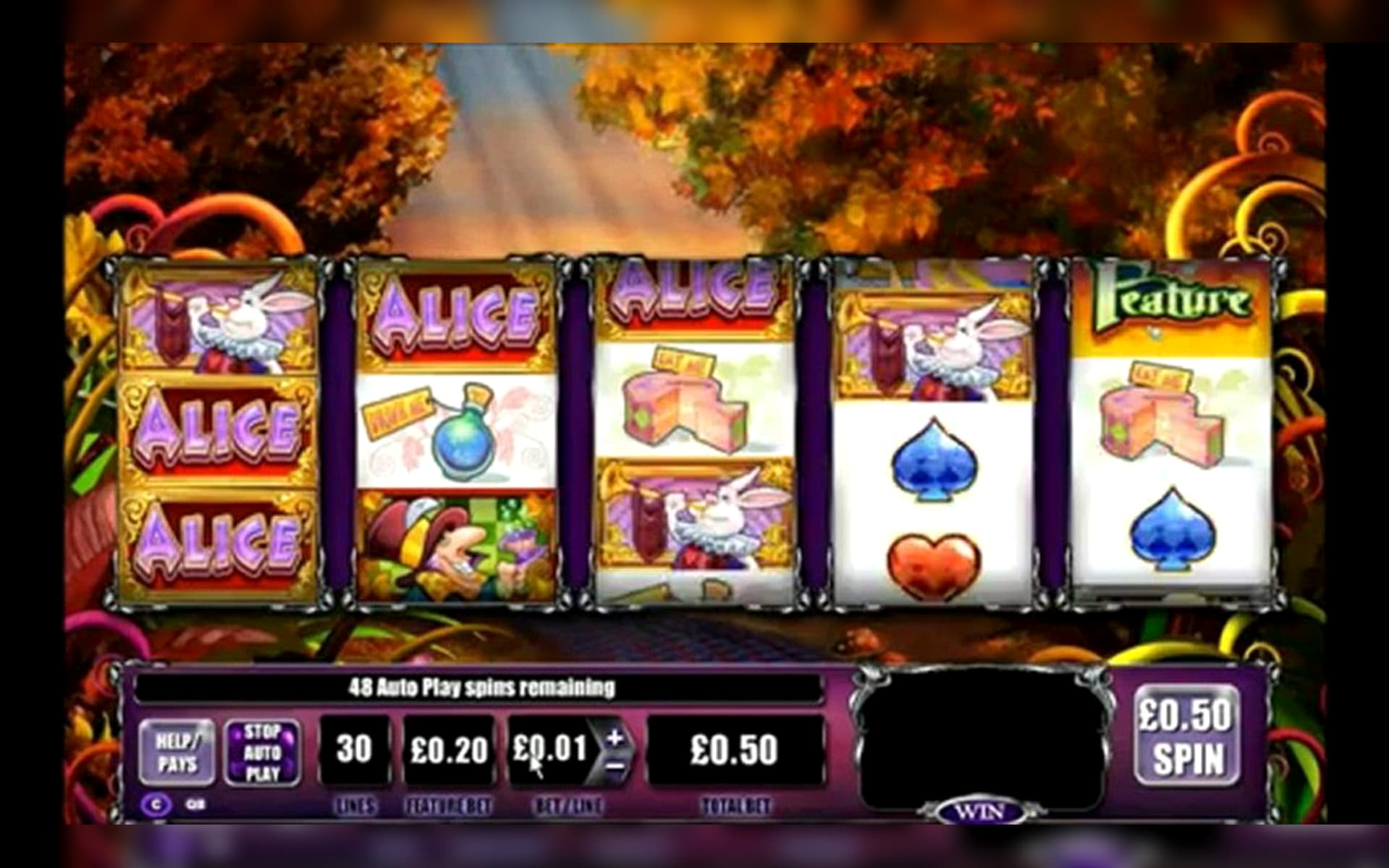 $875 Daily freeroll slot tournament at Inter Casino