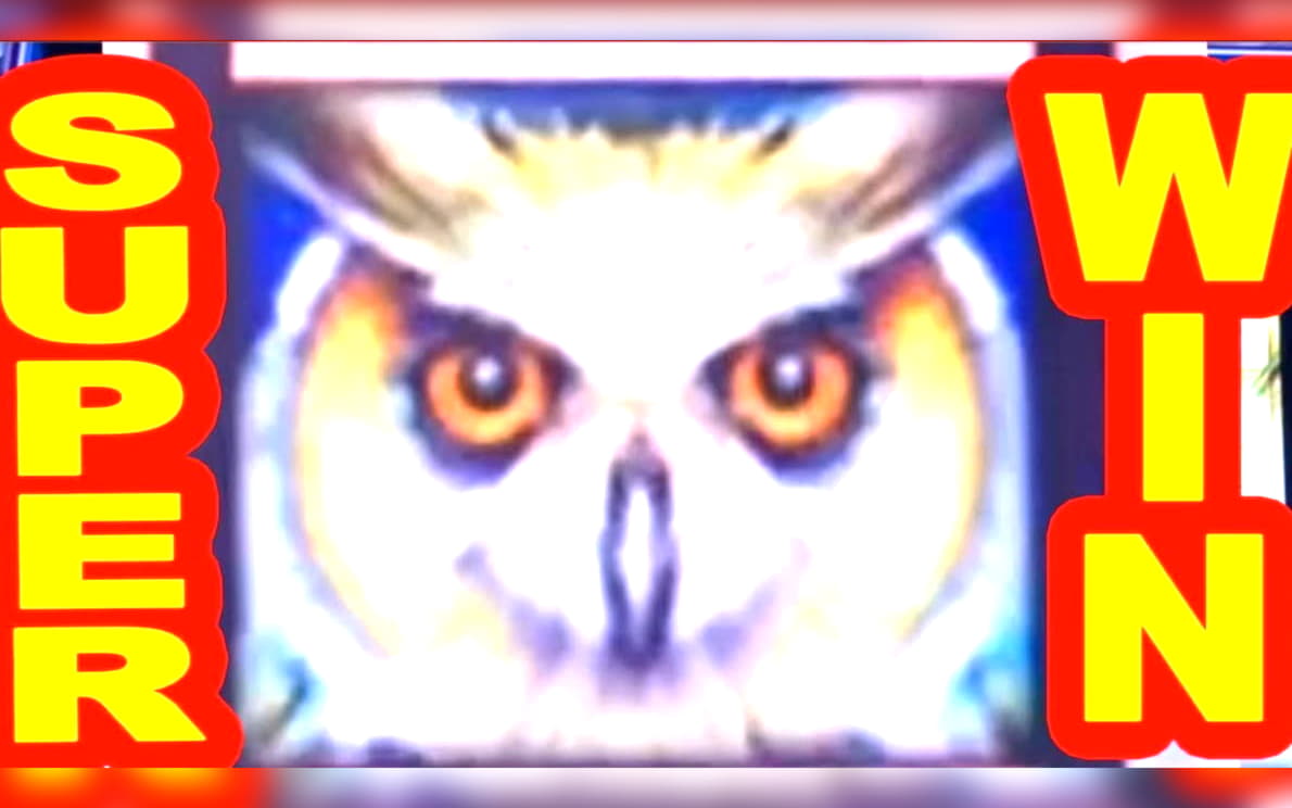 255 Loyal Free Spins! at Jackpot City Casino